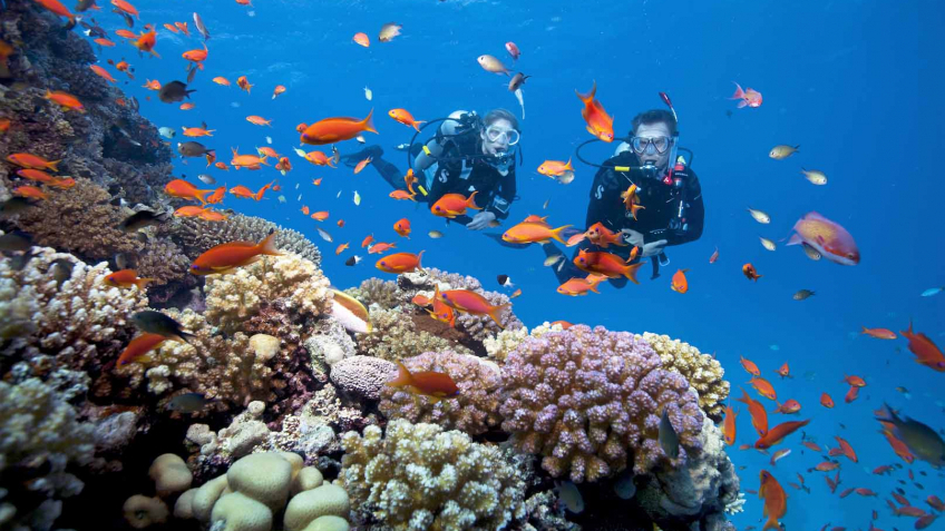 NHA TRANG - THÁM HIỂM ĐẠI DƯƠNG TẠI ĐẢO KHỈ